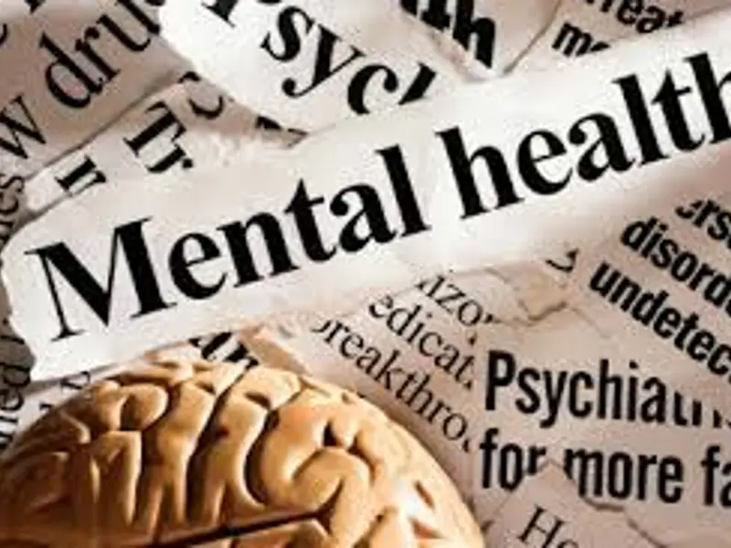 Implications of the Federal Government's New Mental Health Plan for eMH