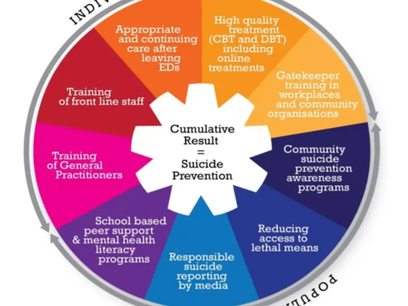 What is the Systems Approach to Suicide Prevention?