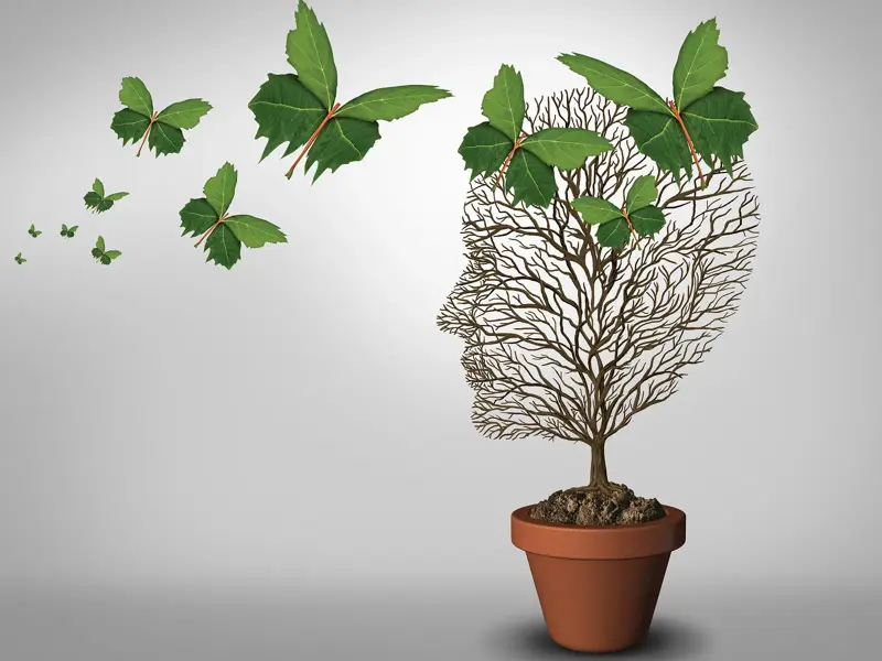 Online Help for Eating Disorders