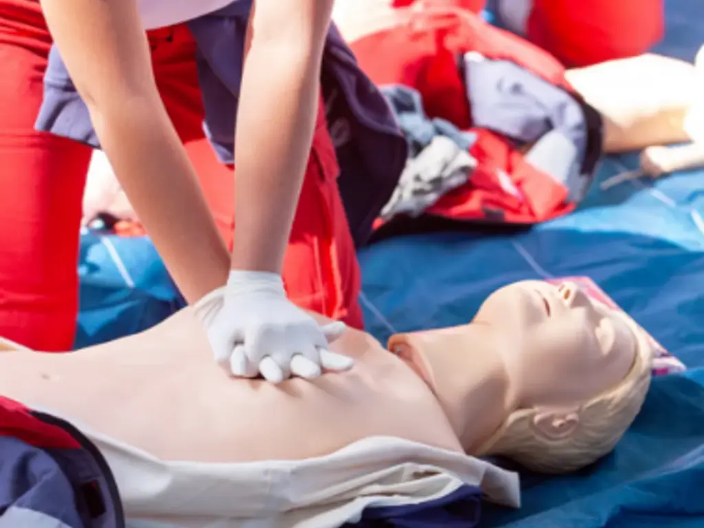 Basic Life Support  (BLS) Online 2024 tile image