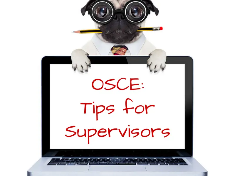 The Idiot’s Guide to the OSCE Exam. Part 1 : Tips for Supervisors
